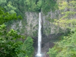 大白川園地