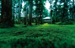 白山平泉寺/まほろば