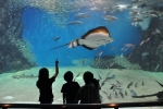 越前松島水族館