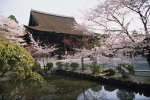三井寺　(園城寺)