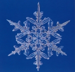 雪の科学館