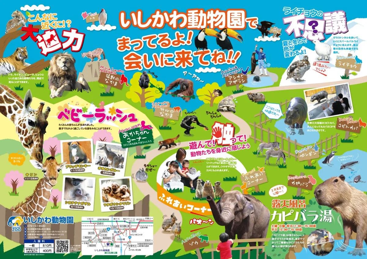 いしかわ動物園誌面見開きの制作イメージ